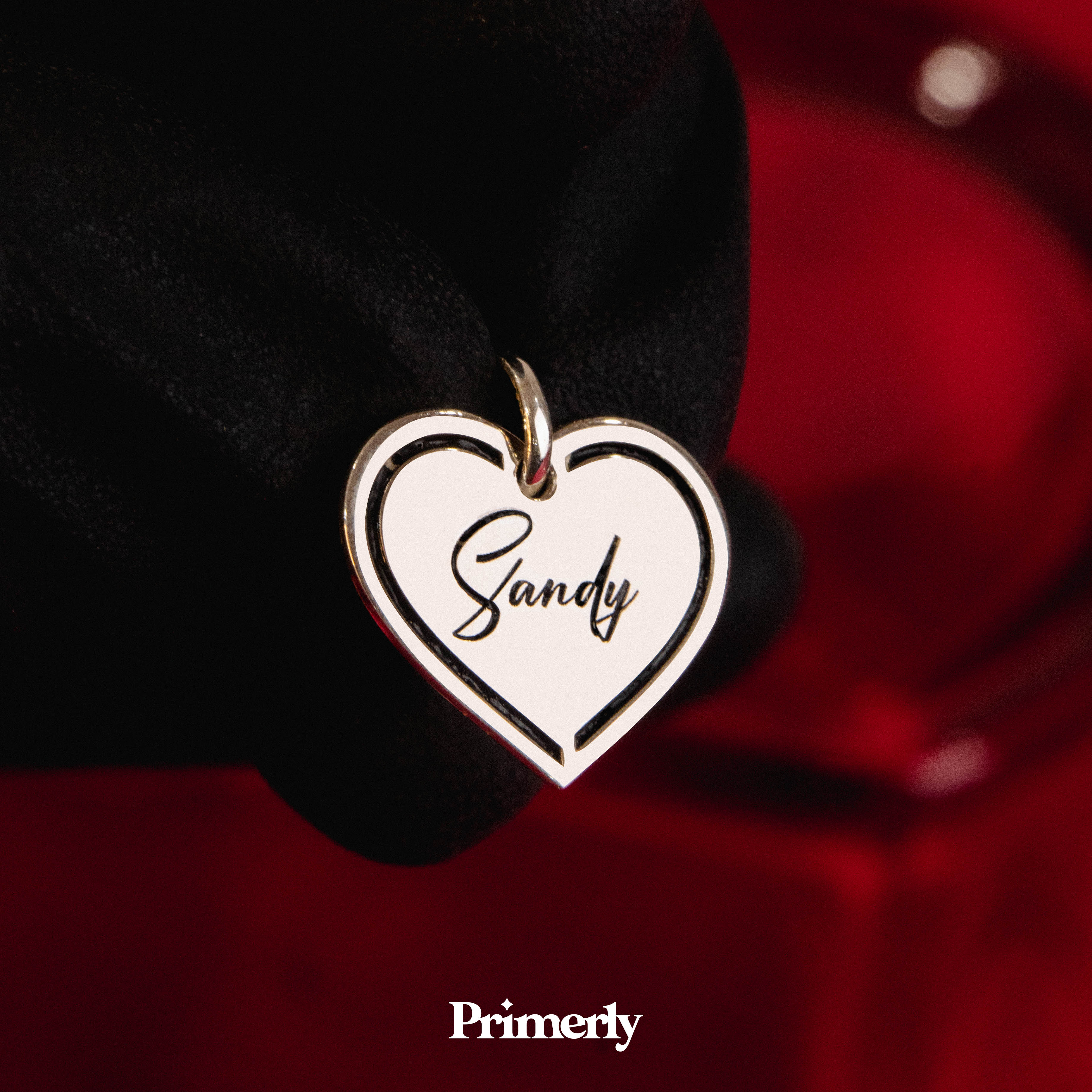 Collar Lines Personalizable Plata .925 Primerly