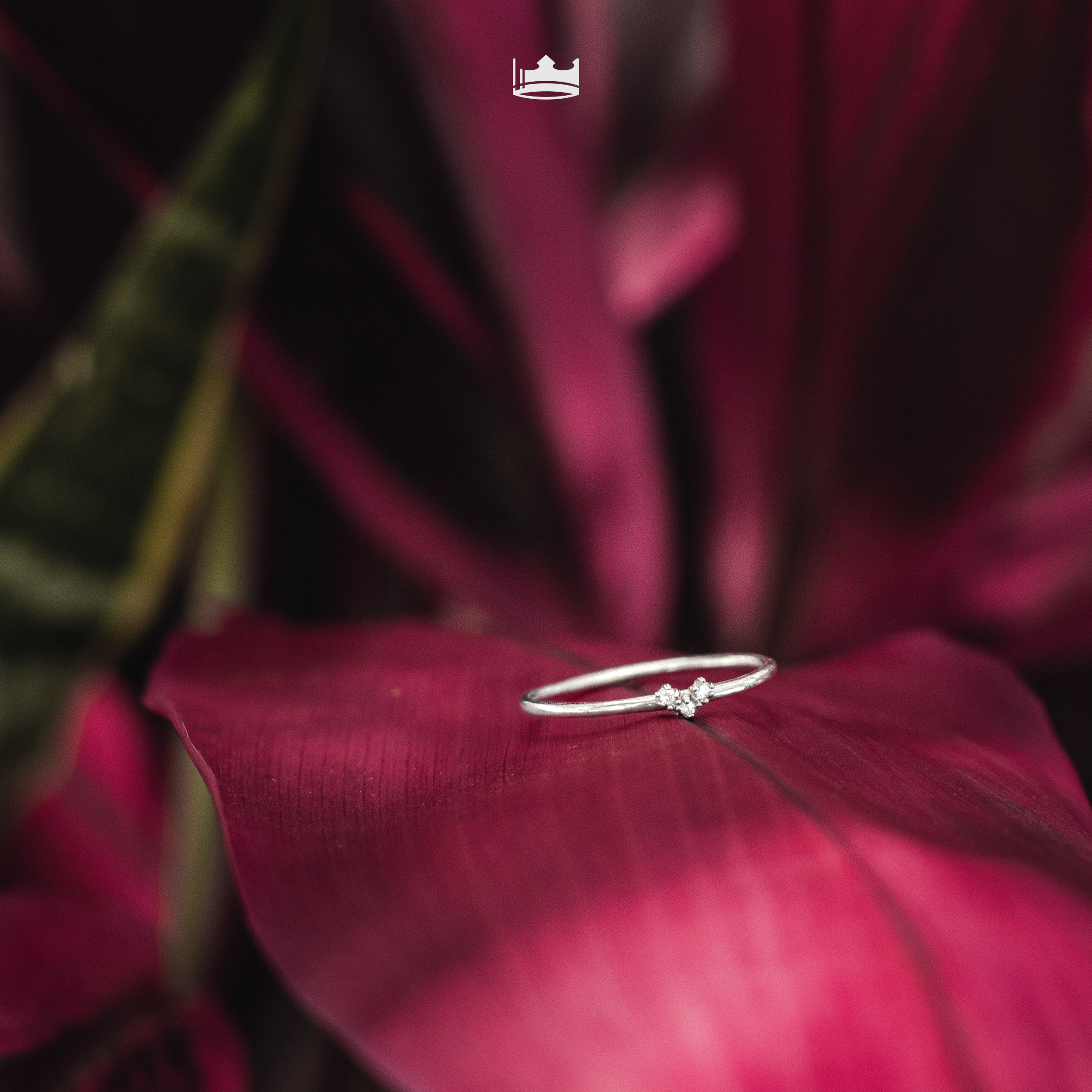 Anillo Compromiso Semilla Promesa Corazón Plata